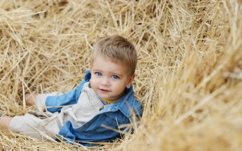 麦字取名寓意 麦字组合更好搭配好听