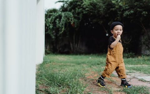 24年龙宝宝取名哪些字最好 优选250个