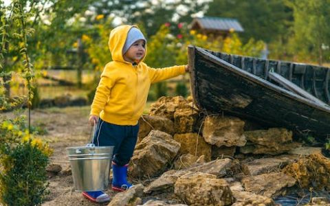 秋字取名寓意及含义 秋和什么字组合更好听