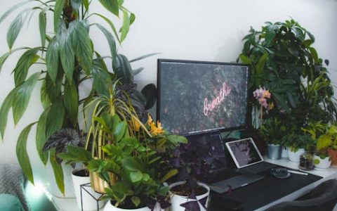 青岛公司起名大全 好听的青岛公司名字 特选300个