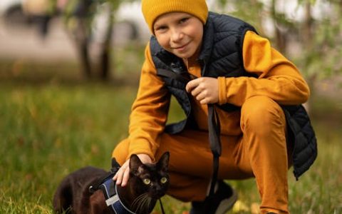 润字取名的寓意和象征 润和什么字组合搭配更好听