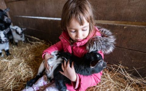 龙年女宝宝寓意好名字 特选500个