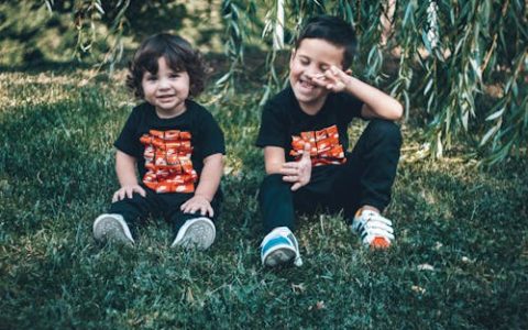 枘字取名的寓意 枘字最佳组合搭配好听