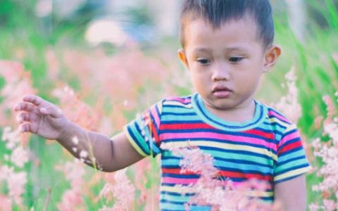 五行属火的字取名男孩 五行带火的男孩名字