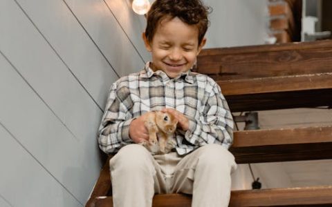 依琳名字的寓意与含义 依琳俩个字的解析