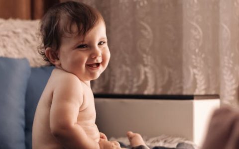 龙年生男孩名字取辰还是晨好