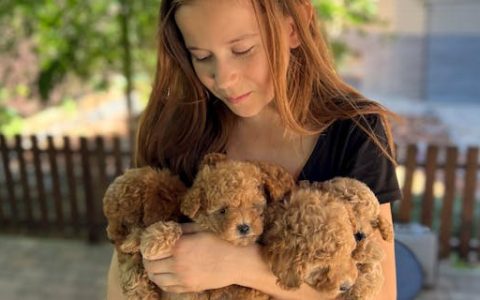 女孩起名珊和姗哪个好