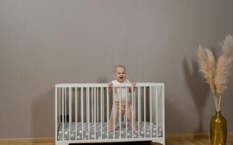 男孩带舒字大气名字 特选300个