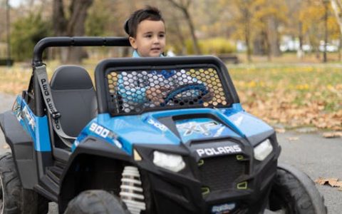 世字辈取名男孩名字 世字最佳组合搭配好听