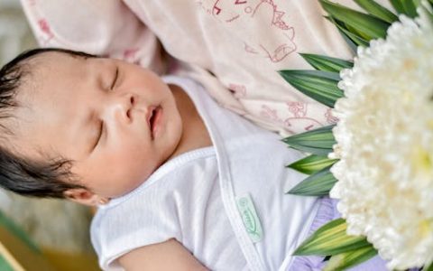 昌字辈的男孩取什么名字好 昌字最佳组合搭配好听的名字