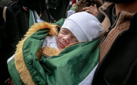 卢姓女宝宝好听的名字 优选297个