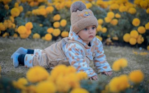 尚字辈男孩起名字 尚和什么字搭配更好听