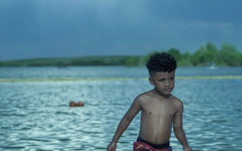 姓陈的男宝宝取名大全2024 优选300个