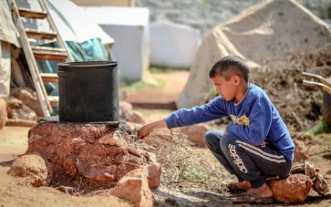 龙年黄姓男宝宝取名 优选395个