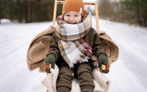 陈姓女孩楚辞中最唯美的名字 特选300个