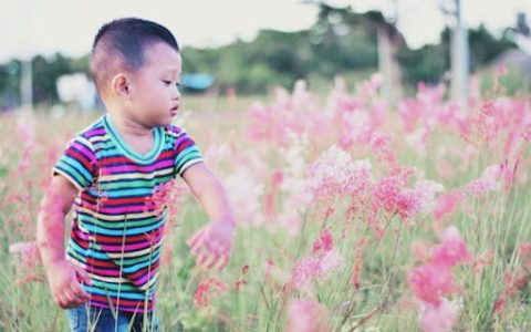 陶姓男孩名字大全属龙 特选400个