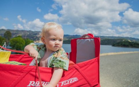 赵姓男孩大气有涵养的名字(优选300个)