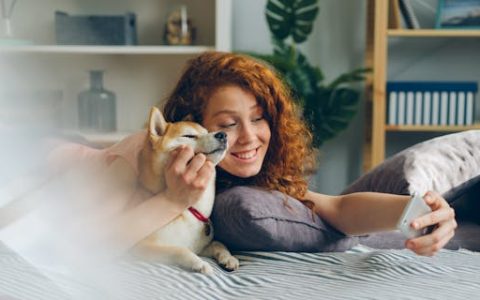 女孩缺火高雅有涵养的名字（特选400个）