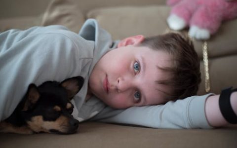 姓王的名字男孩怎么取(优选310个)