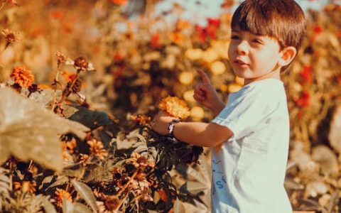 好听大气带水的男孩名字(特选500个)
