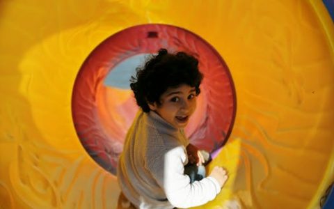 张姓振字辈男孩起名字