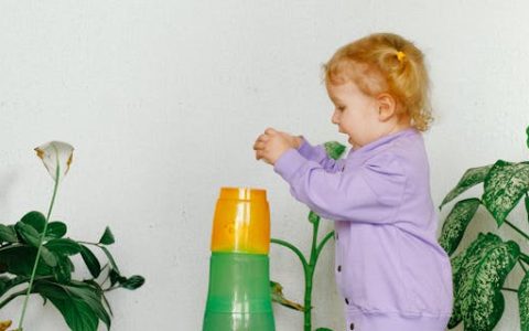 龙年张姓女宝宝取名 特选300个