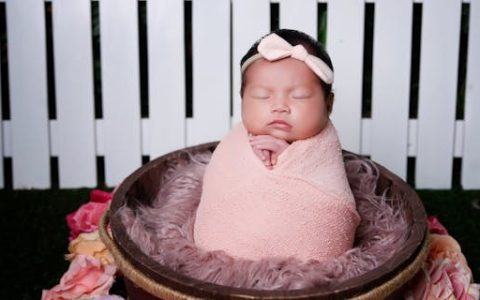 2024姓陶男宝宝取什么名字好 特选300个