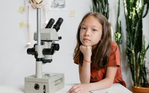 申姓女孩名字简单大气 优选300个